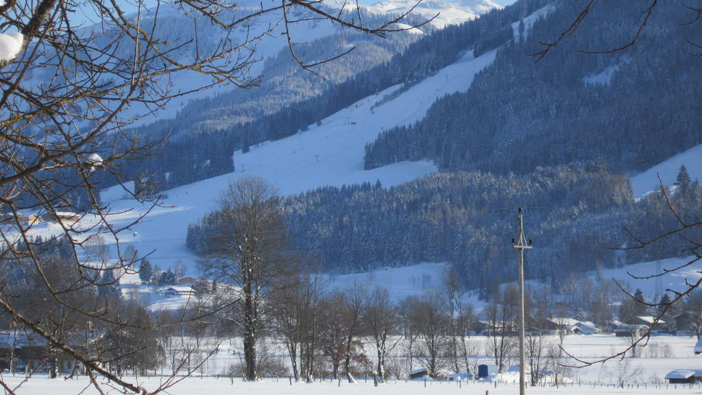 Appartement Ramseiderhof à Saalfelden Extérieur photo